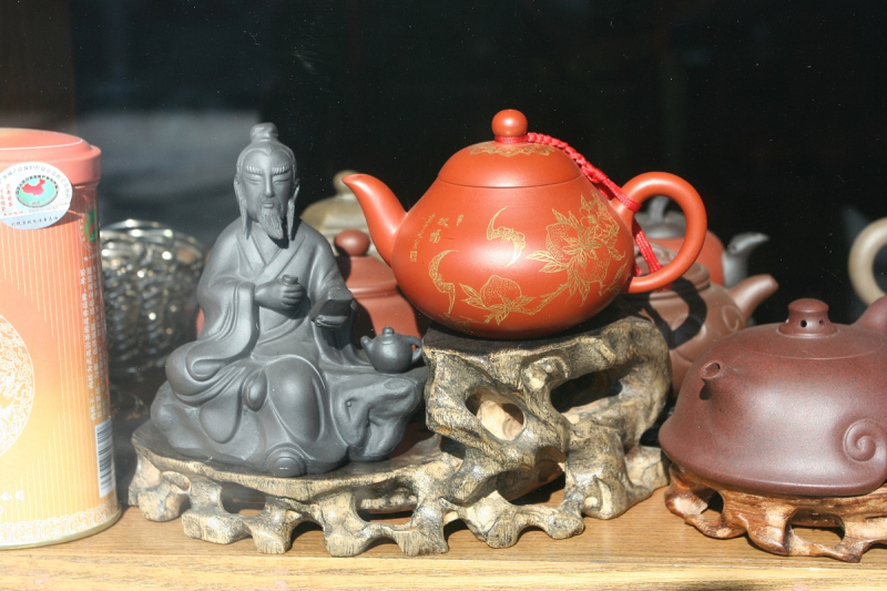 怎么养变色茶宠：从零开始的鲜活养成指南