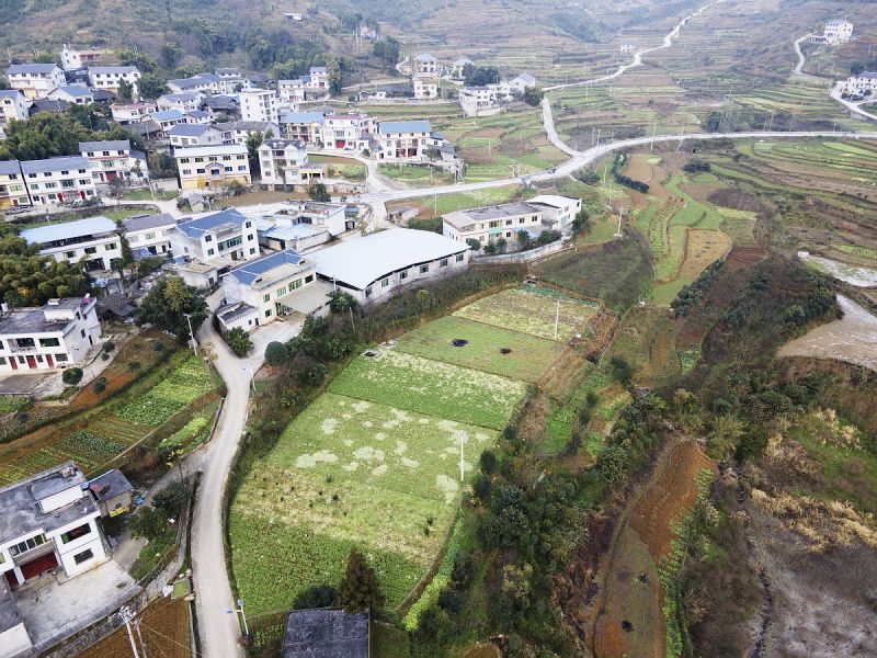印茶镇那板村- 从一个睡眼惺忪的小村庄到现代化的宜居社区