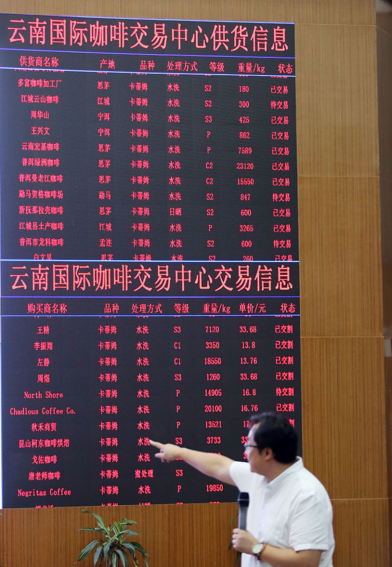 普洱茶咖啡因：了解普洱茶的咖啡因含量