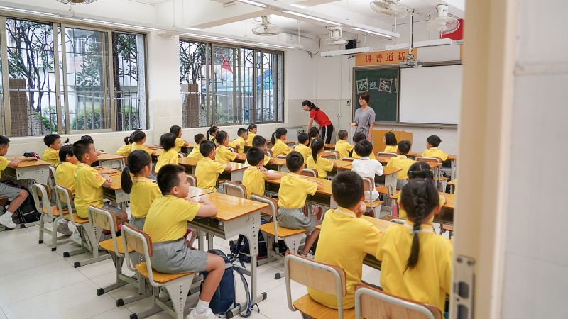 江门紫茶小学是公办学校吗？--一份详尽说明