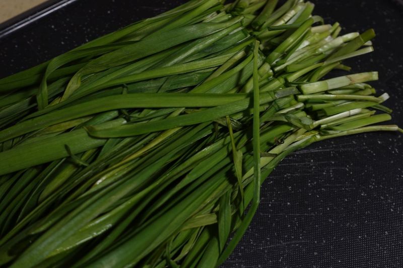 头茶韭菜能吃吗——头茶韭菜的特点与食用方法