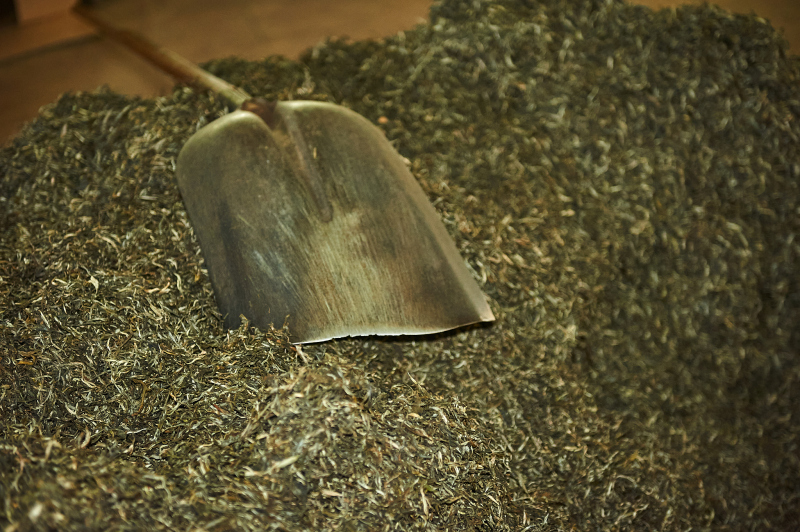 为什么吉普号的茶这么受欢迎？品味卓越的茶叶，美味令人难以忘怀！