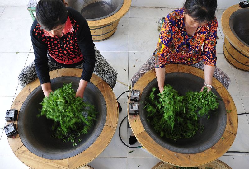 茶叶杀青是什么意思