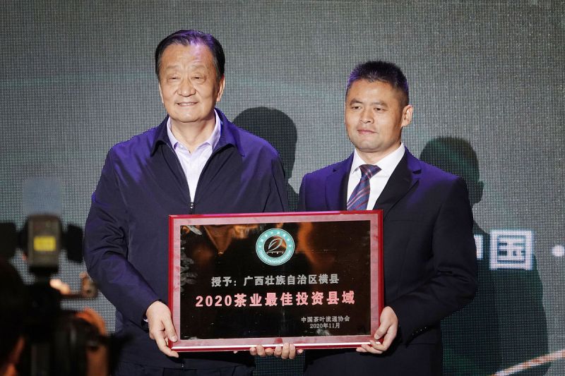 丰顺县茶叶协会会长是谁？一探丰顺县茶叶产业发展之路