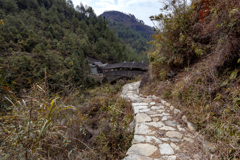 江西茶马古道：一个神奇的古代商路