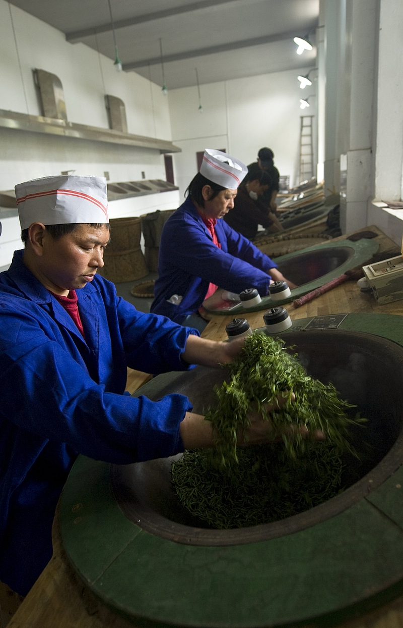 如何获得炒茶技师资格证书？