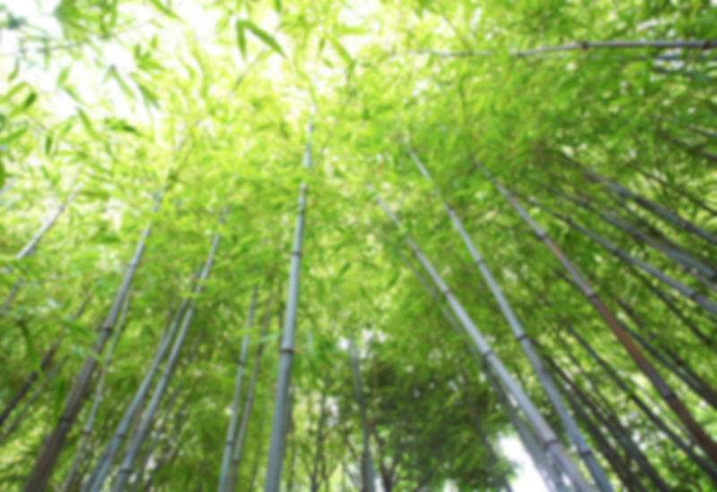 茶竹永川网下载：享受现代社会生活的必需品