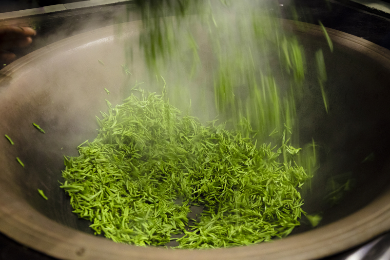 炒茶是不是绿茶？炒茶和绿茶的区别是什么？