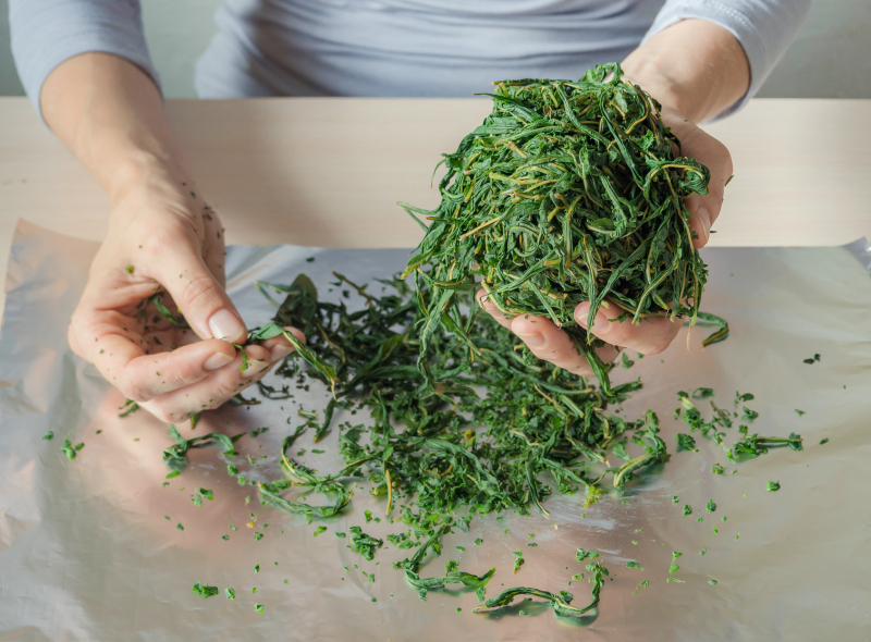 景谷一号茶饼：品质卓越的原生态普洱