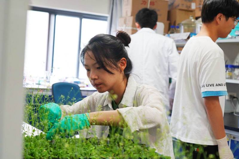 浙大茶学在哪个校区 - 一个完整的指南