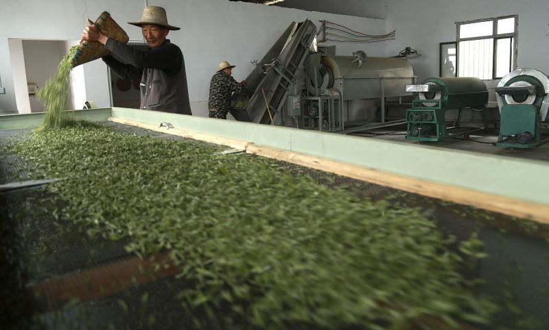 茶叶工艺流程：打造一杯独具匠心的茶品