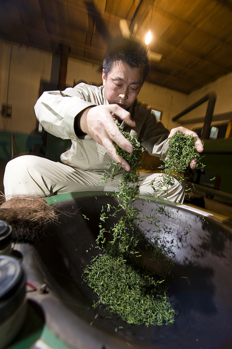 为什么乌龙茶浓缩液如此受欢迎? 为什么乌龙茶浓缩液如此受欢迎?