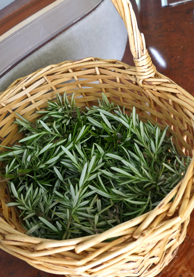 石竹茶是淡竹叶吗？解开这个问题的秘密