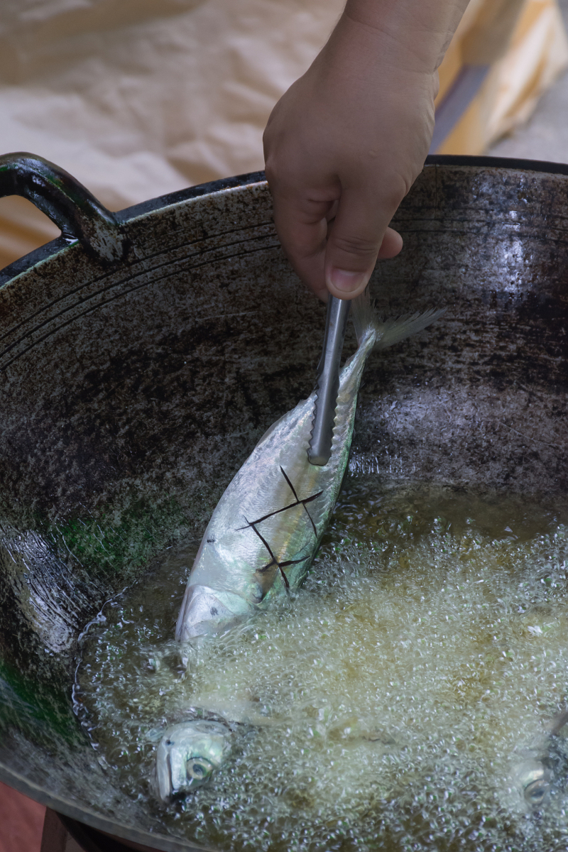 茶饼毒鱼的方法- 如何安全地烹饪茶饼毒鱼