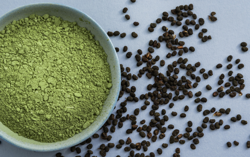 种子茶的功效与作用：替代茶饮，滋养身体