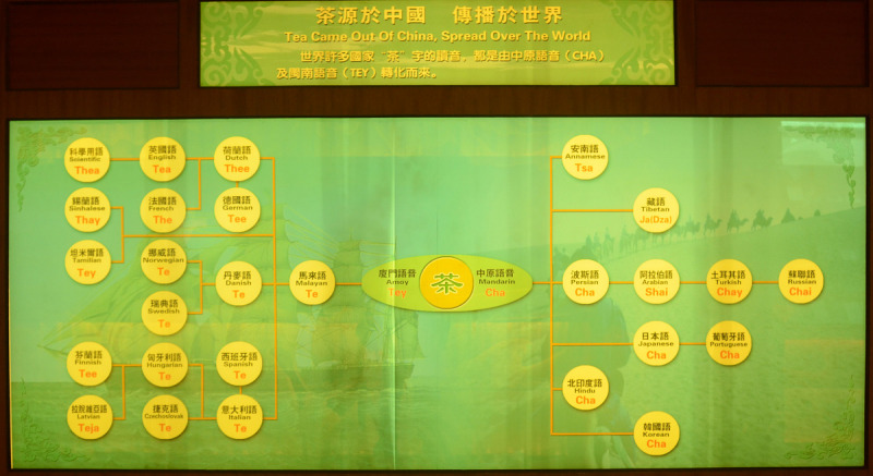 茶好茶上好茶故事：探索中国茶文化的精髓