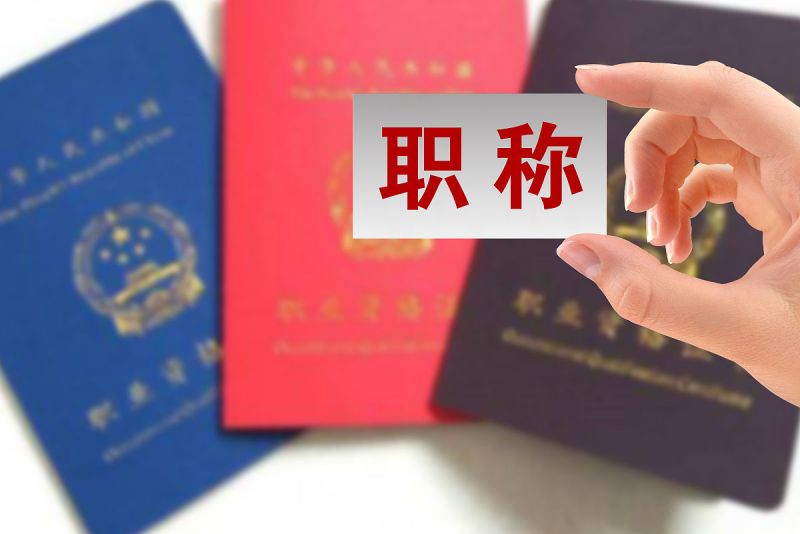 茶叶加工与生产能评什么职称：探索中国茶产业的职业发展