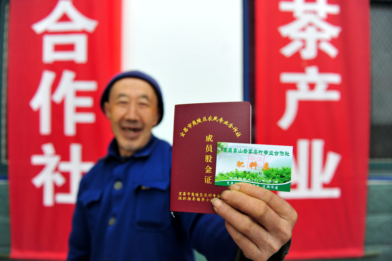 茶叶合作社申请流程：打造有机茶叶品牌的第一步