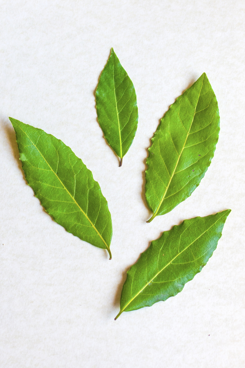 普洱茶属于茶叶吗？全部揭晓