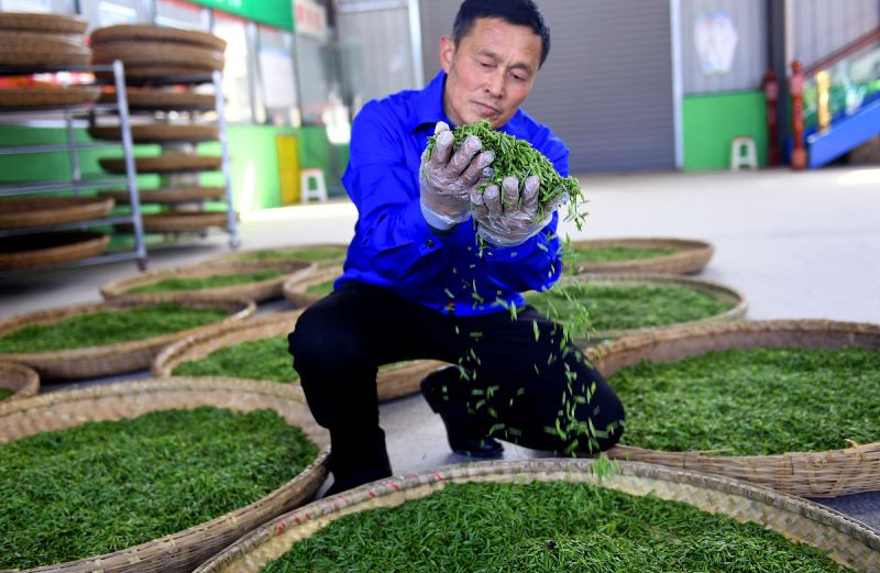 舒茶镇先锋网 - 让您的生活更简单