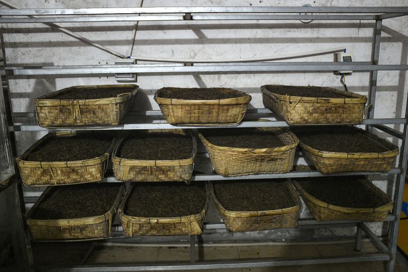 红茶是属于全发酵茶吗？探讨全发酵茶与红茶的关系