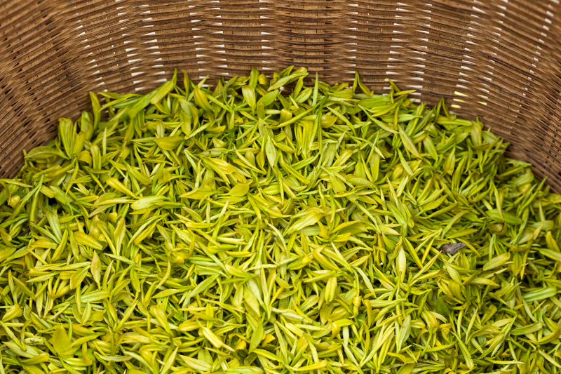 宜兴黄金茶的价格：质量与口感的平衡