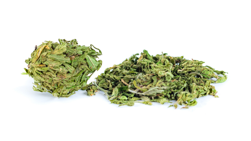 罗布麻茶的功效与作用- 能长期喝吗？