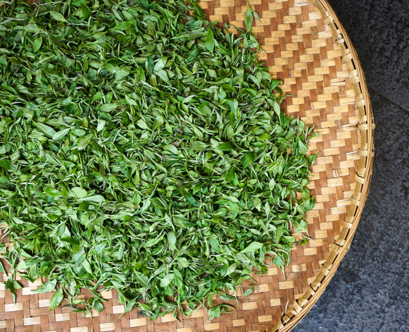 明前茶为什么贵：探讨中国传统名茶的奥秘