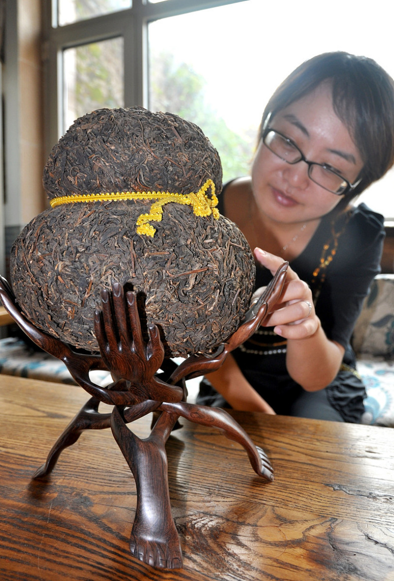 澜沧古茶鼠兆丰年：品尝历史的美味