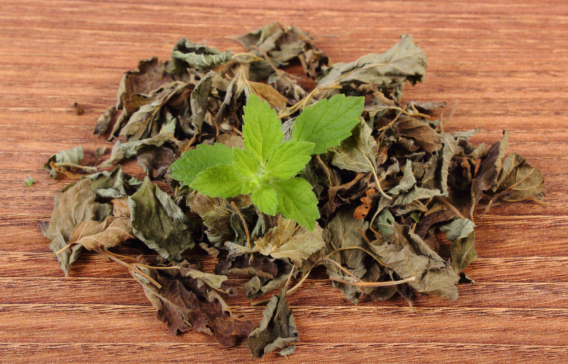 透骨草茶叶鱼腥草洗头：解决头皮屑和头发油腻的神器