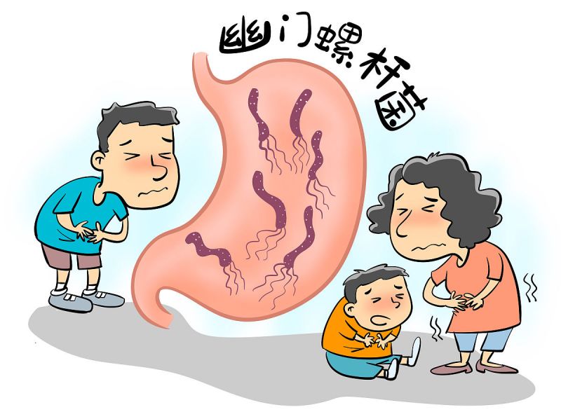 您需要知道的幽门杆菌喝什么茶