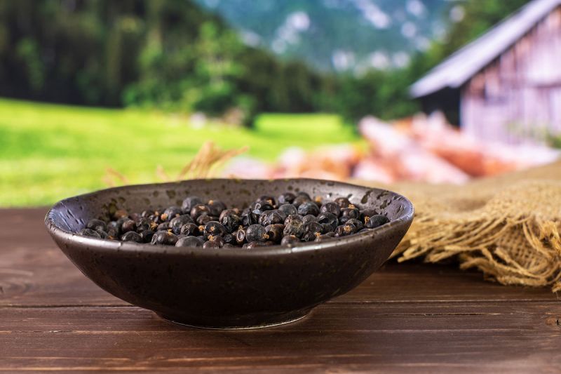 大凉山黑苦荞茶：保健饮品的瑰宝