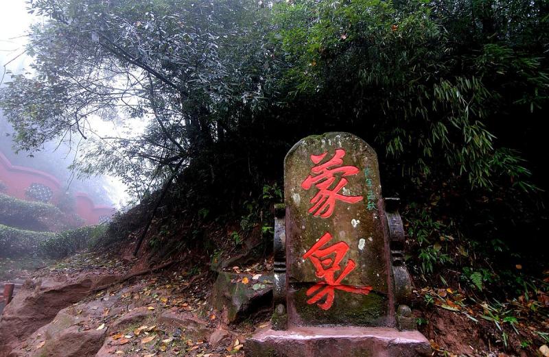 说说普洱茶哪里的好？打哪里的普洱茶最好？