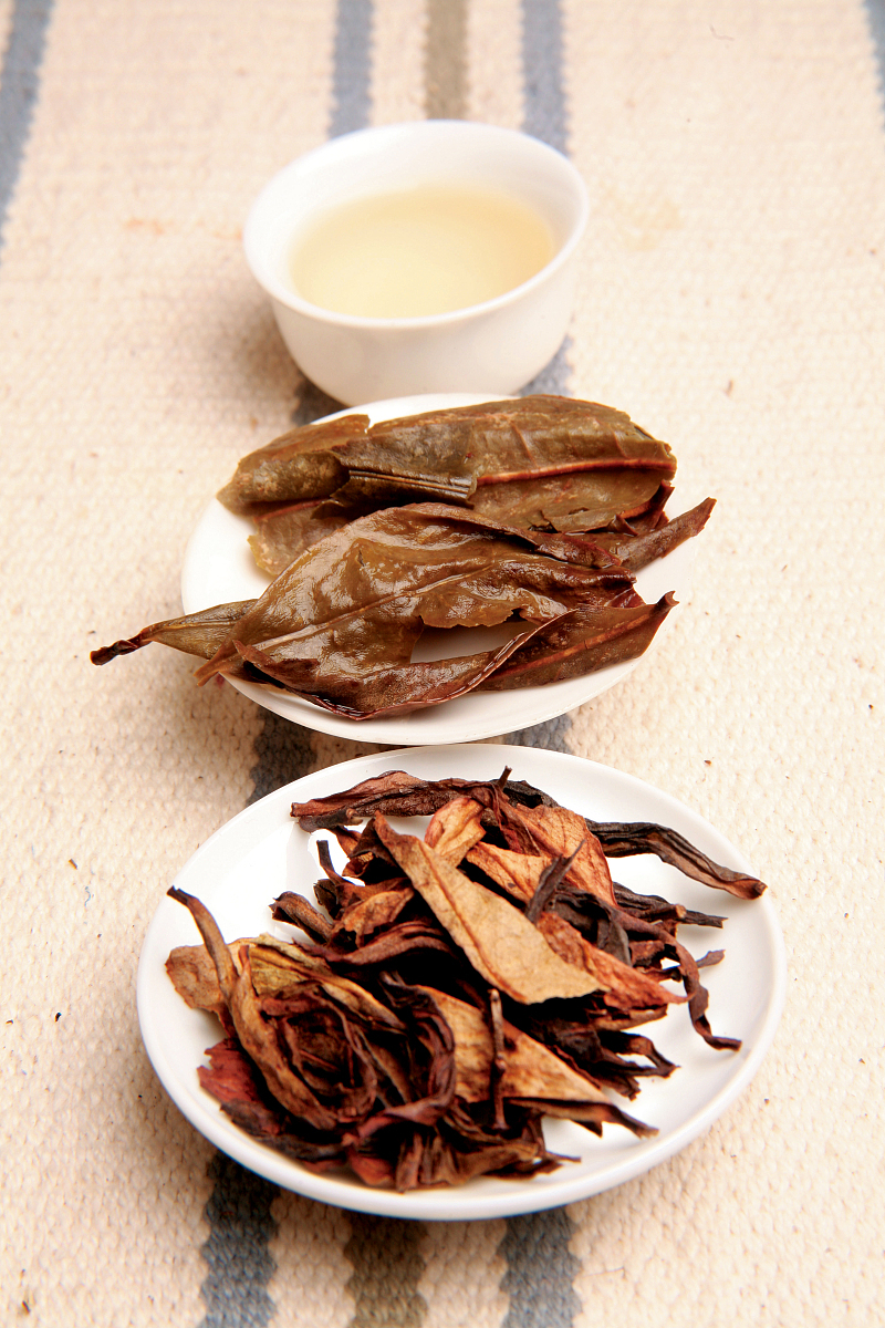 黄金叶茶的功效-提高免疫力，促进新陈代谢