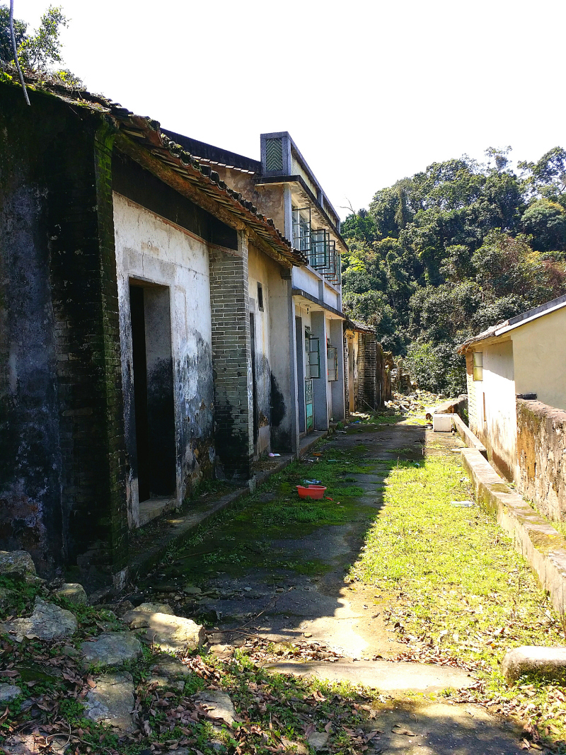 黄山毛峰那些品牌：品尝黄山名茶必备