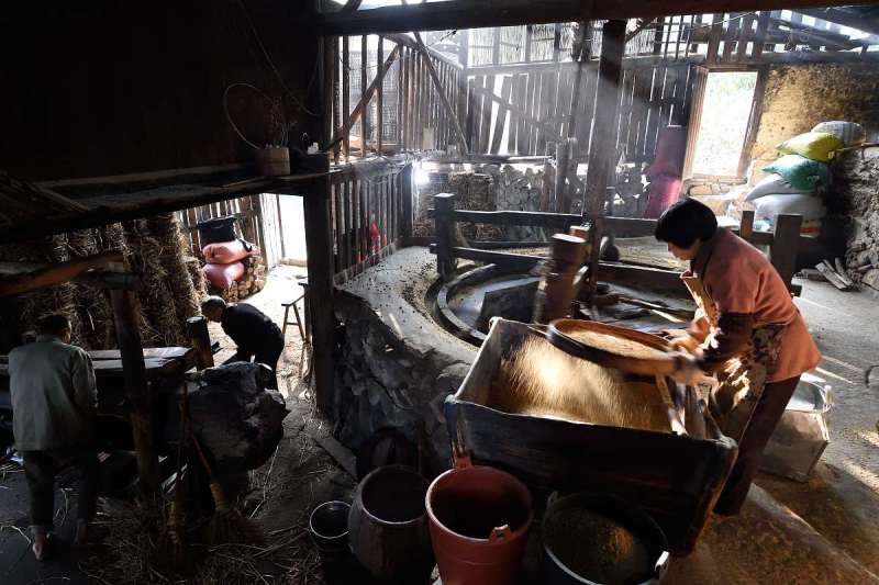 茶籽如何榨油：最佳方法和技巧