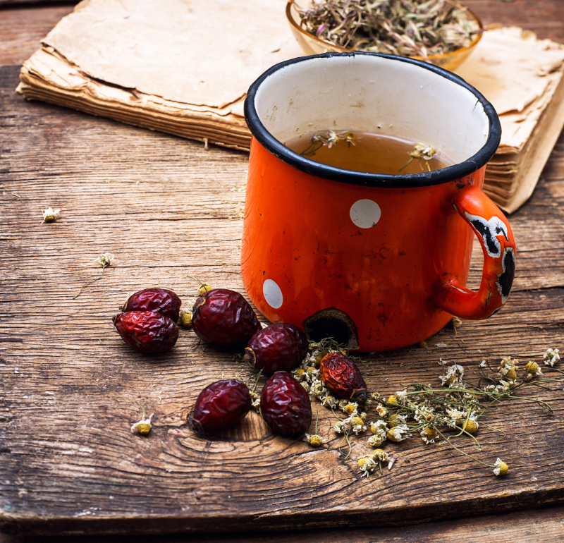 活力满满：探讨金丝牛蒡茶的功效与作用