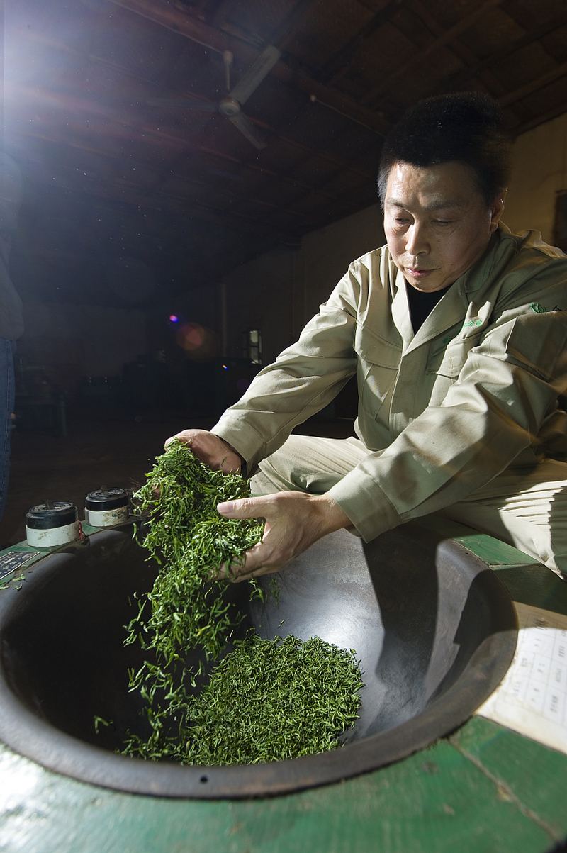 无锡马山毫茶：品尝中国文化的饮品