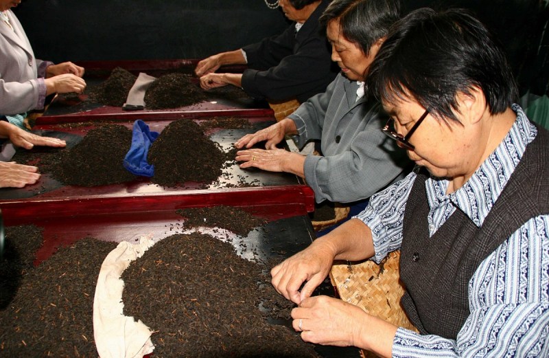 陈皮普洱茶怎么泡 - 别有一番滋味
