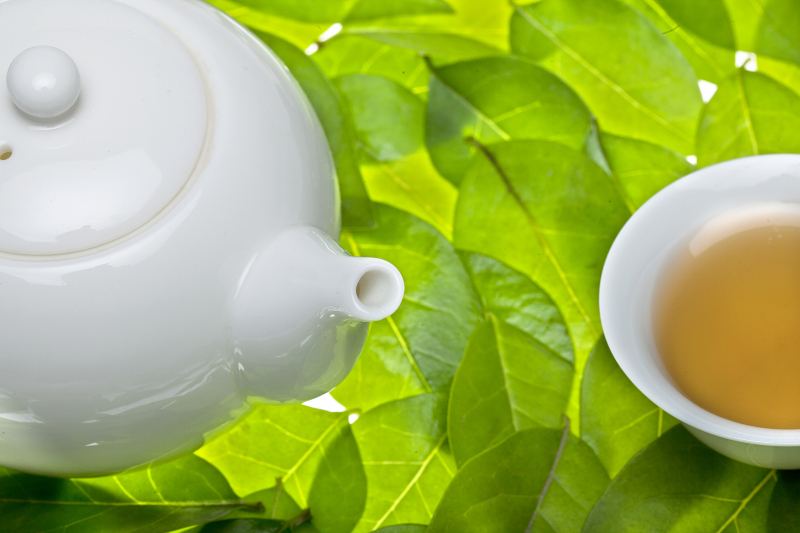 男人喝什么茶养肾：探索男性肾脏保健的秘诀