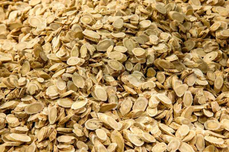 用黄芪当茶喝能解决什么问题？-