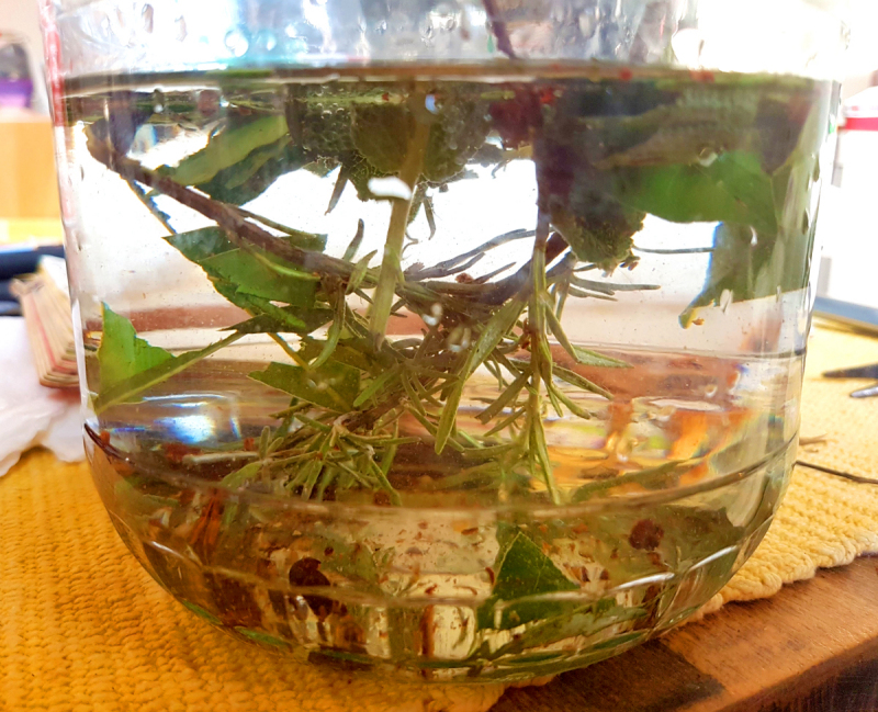 鱼腥草茶怎么制作：健康的自然护肝小帮手