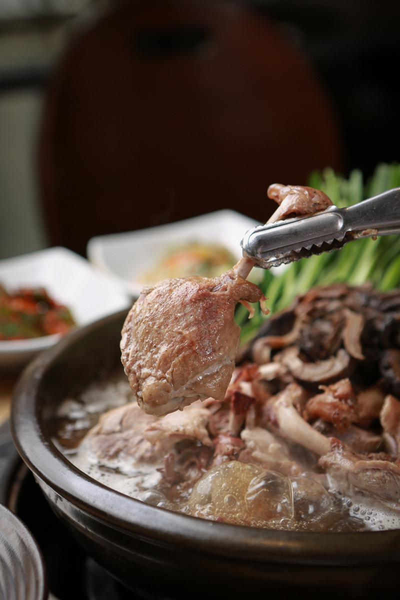 茶跟羊肉能一起吃吗 – 一种奇异的饮食组合