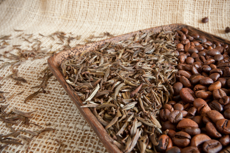 茶叶含咖啡成分吗：揭秘茶叶与咖啡的关系