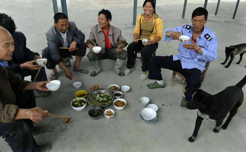 工地干活喝什么茶好？提高工作效率的5种好茶