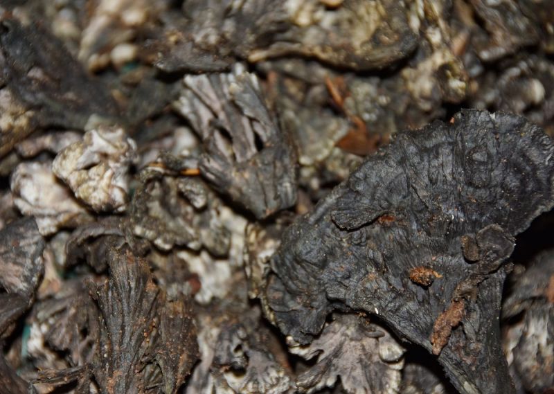 老茶头属于什么茶？常见老茶头有哪些品种？