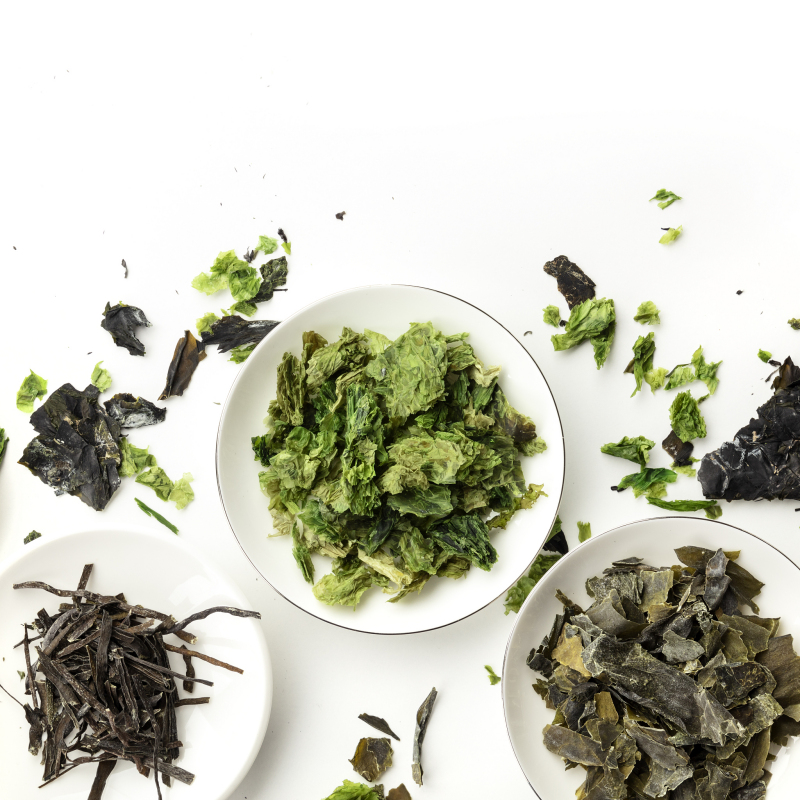 紫苏叶茶怎么自制：简单易学的制作方法