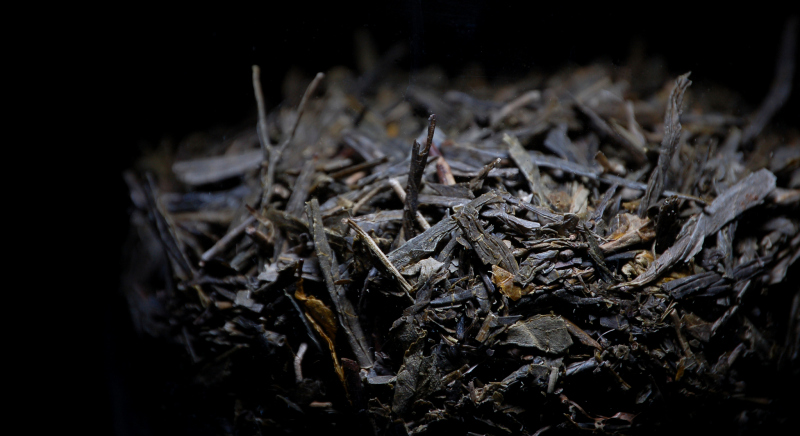 飘香四溢的安化黑茶煮奶茶——探索中国茶文化中的瑰宝
