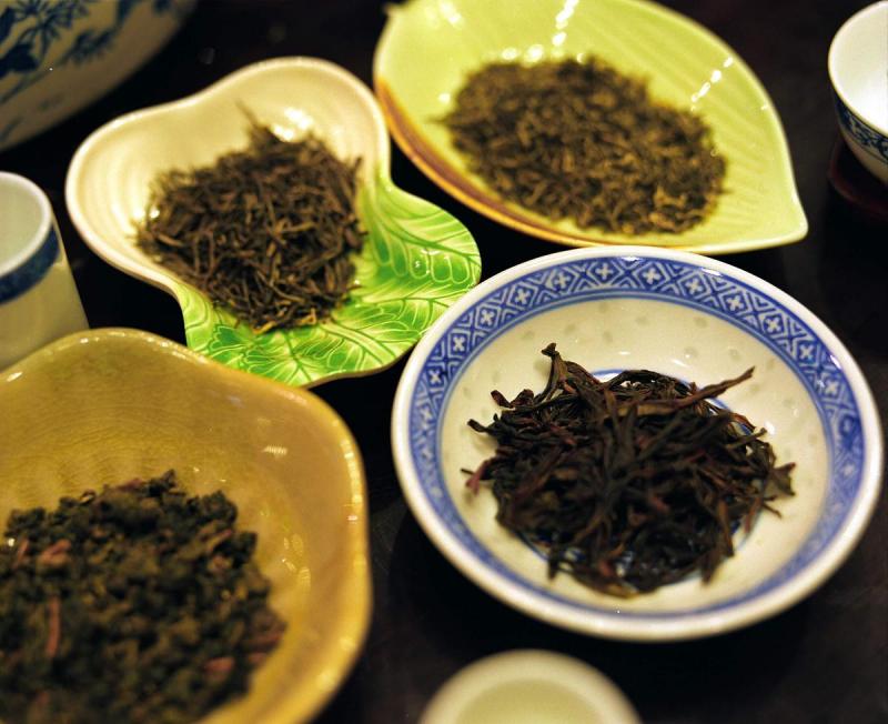 探究南糯古树茶的特点以及它的价值