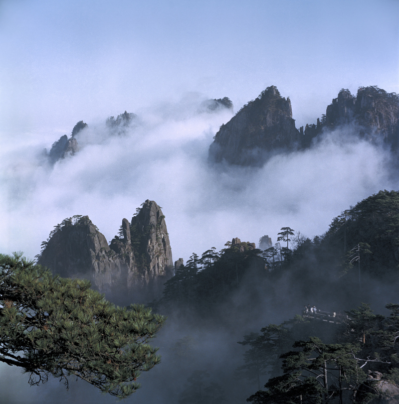 黄山出什么茶？黄山茶文化探秘